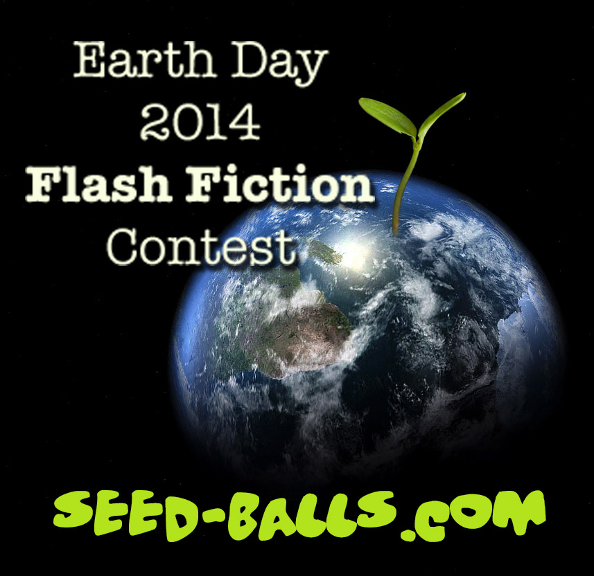 Seed Ball Fiction Contest