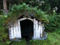 Sod roof on a traditional Norwegian Structure.