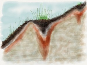 Plants and soil formation respond to subtle gradients on a slope.