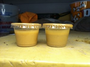 24 hours in, a darkening in the inoculated container (right) is barely detectable.