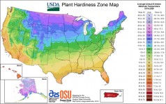 USDA Hardiness Zones Map