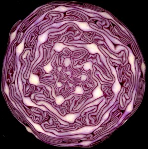 Red Cabbage by Ian Alexander, Wikimedia Commons